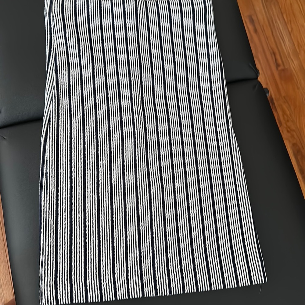 Ann Taylor skirt